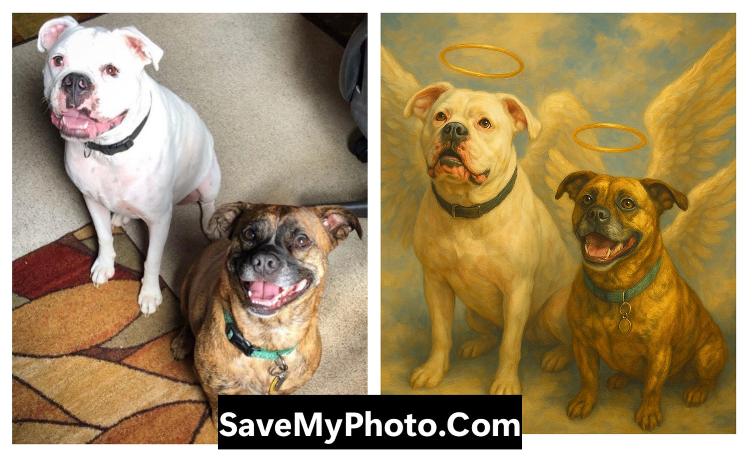 A photoshopped photograph tribute to two dogs. Professionally done by savemyphoto.com